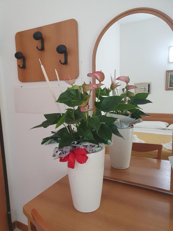 Hotel Venezia San Mauro Mare Екстериор снимка